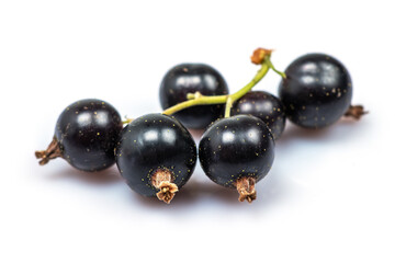Branch currant isolated on white background close up