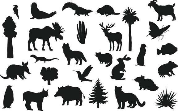 Flat illustration north America landscape animals plants seal bear moose isolated Vectors Silhouettes