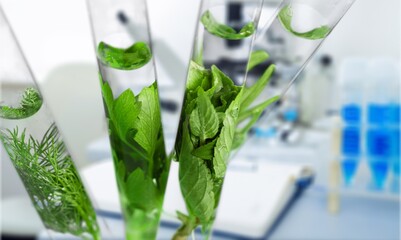 Science working with chemical reaction in chemistry laboratory. liquid in transparent test tube and plants