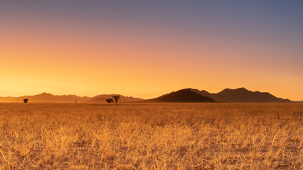 Fototapeta na wymiar Sunrise in desert landscape, NamibRand Nature Reserve, Namib, Namibia