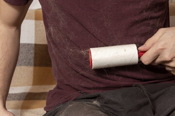 A man with a sticky clothes roller removes animal hair from clothes. Cat hair on clothes. A sticky roller that removes cat hair.