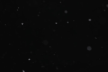 Snow on a black background. Snowflakes for overlay. Snow background.