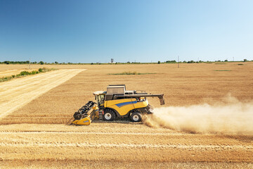 DCombine harvester on a wheat field with blue sky.