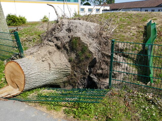 In May 2022, a tornado caused severe damage in Lippstadt, North Rhine-Westphalia, Germany, where a tree fell and crushed a fence - obrazy, fototapety, plakaty