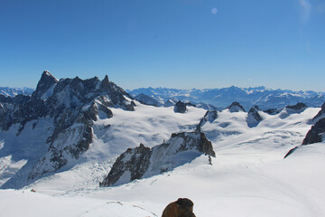 snow covered mountains
