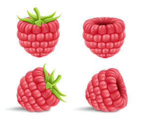 Collection of ripe raspberries isolated on background. Natural summer fruit, realistic 3d vector illustration. Ingredient for juices, jams, yogurts, compotes. Mockup for package design
