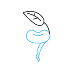 bean sprout line icon, outline symbol, vector illustration, concept sign