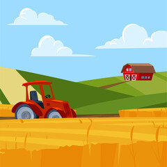 Colorful farm field landscape flat style, vector illustration