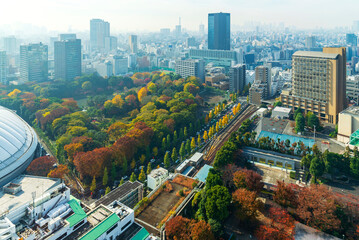 Naklejka premium Cityscapes of tokyo in Fog after rain in winter season, Skyline of Bunkyo ward, Tokyo, Japan, Tokyo is the world's most populous metropolis and is described as command centers for world economy.