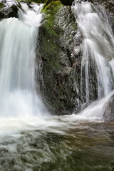Naklejka premium waterfall in the forest