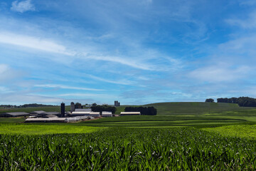 corn field, barns and blue sky