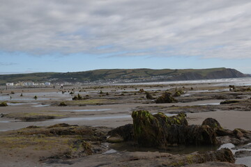 the remains of the petrified forest on Borth beach during low tide