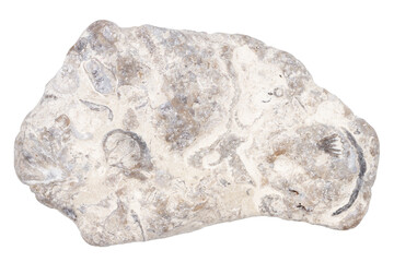 Top view of single brown pebble