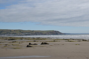 the remains of the petrified forest on Borth beach during low tide