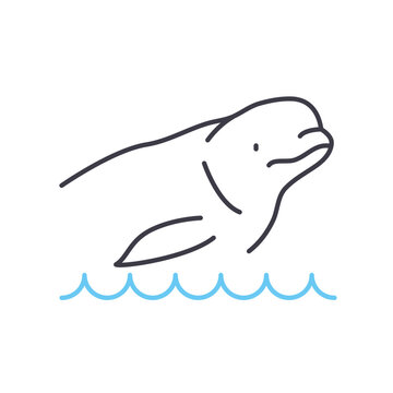 beluga whale line icon, outline symbol, vector illustration, concept sign