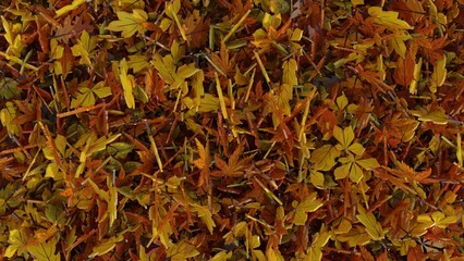 3D rendering. Background with yellow and orange colors of the fall season. Autumn-themed presentation template. Pile of 3D modeled autumn leaves.