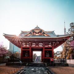 a beautiful temple in downtown Tokyo Minato, Japan with a japanese tourist dressed in a traditional...