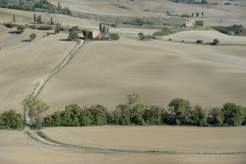 Obraz premium Landscape of Tuscany fields in Italy