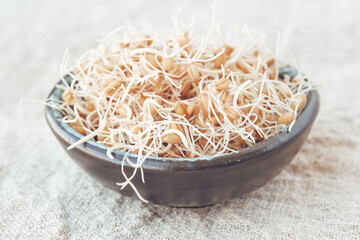 Sprouted wheat grains in a bowl on a linen napkin. Selective focus.