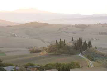 Naklejka premium Landscape of Tuscany fields in Italy