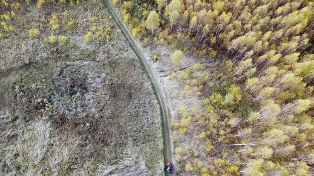 DRIVERS of ATVs, buggies in the autumn forest, shooting from a quadcopter