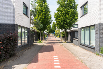 Deserted tree lined bicycle lane running between modern brick residential buildings on a sunny...