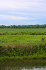 Obraz premium landscape with a river in the country
