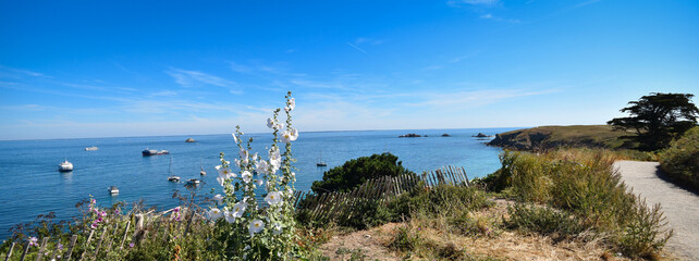 Île d'Houat, Gulf of Morbihan, France, wide angle, island flowers, lavatera arborea, sailboats, island flora, white flowers, azure blue, Atlantic ocean, skyline, palette of blues, Bretagne