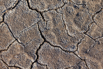 Texture of dry cracked soil. The concept of drought, barren land, disaster. Сracked earth