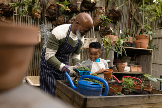 Senior african american man with his grandson working in garden