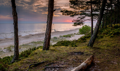 Sandy beach and forest dune area of the Baltic Sea at dawn. Concept of happy, bliss and healthy summer vacation in ecologically clean Baltic region of Eastern Europe