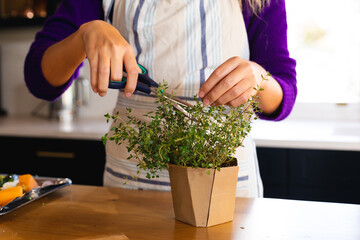 Midsection of caucasian woman standing in kitchen cutting fresh herbs with kitchen scissors © WavebreakMediaMicro