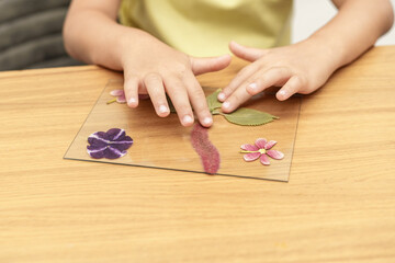 Child making picture from pressed flowers on Herbarium Frame. Faceless kid arranging pressed...