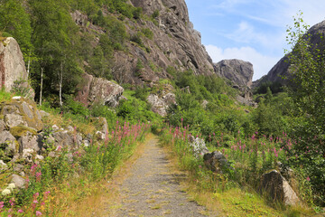 Fototapeta na wymiar Hiking around the Helleren houses in Magma UNESCO Global Geopark, Sogndal municipality, south Norway
