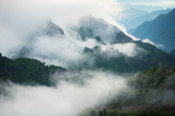Morning fog in the mountains at sunrise. Clouds over the rocks and trees.