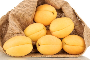 Several bright yellow juicy pineapple apricots in a jute bag, macro isolated on a white background.