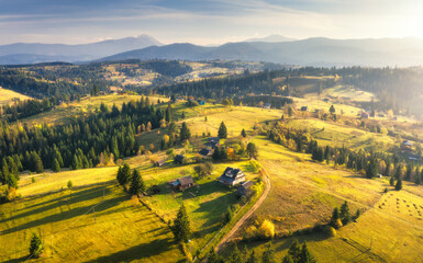 Fototapeta premium Aerial view of beautiful village in Carpathian mountains at sunset in autumn in Ukraine. Colorful landscape with green meadows, houses, gardens, trees, sky in fall. Top view of mountain countryside