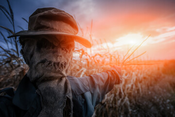 Scary scarecrow in a hat and coat on a evening autumn cornfield during sunset. Spooky Halloween...
