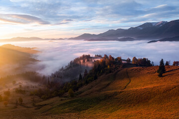 Autumn landscape. Sunrise on the foggy morning. Scenery with fruit tree, fields and forests covered...