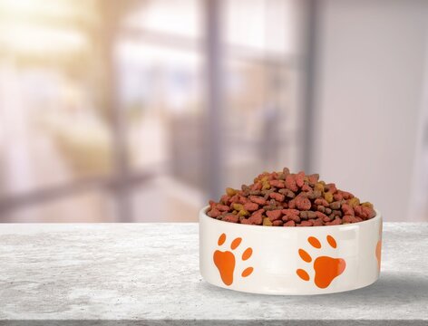 Dry cat pet food in a bowl. Vitamins and nutrients for good health and energy of pets.