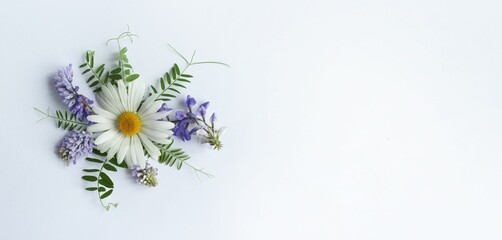 White chamomile and lilac bindweed on a white background. Floral arrangement in a rustic style. Background for a greeting card.