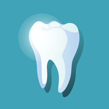 Vector illustration of tooth, logo, dentist