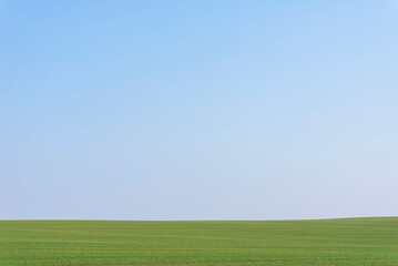 Obraz premium Green field with blue sky as background.