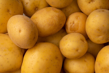 A group of fresh tasty potato as  background.