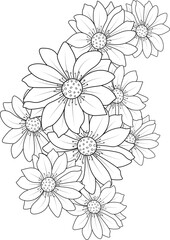 white chrysanthemums daisy flower