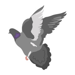 Flying gray dove isolated on white background Grey bird in side view Vector illustration in flat cartoon style Hand drawn clipart