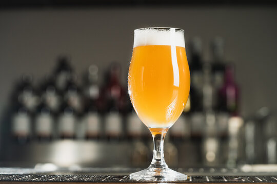 Beer. A professional glasses for beer. The trend drinks concept.