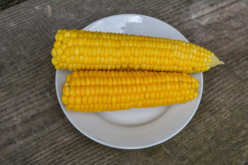 Sweet boiled corn with salt sugar and butter lying.