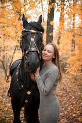 young beautiful smiling woman walking with black Friesian horse  in autumn forest with yellow leaves