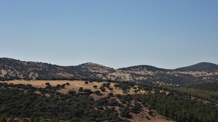 Rolling hills of the Sierra de Guadalupe covered by a mix of oak dehesa steppe and pine forests typical for inland Spain, an unsealed dirt track in the distance, against a clear blue autumn sky